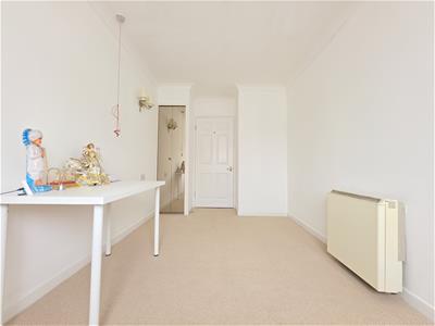 Picture 11